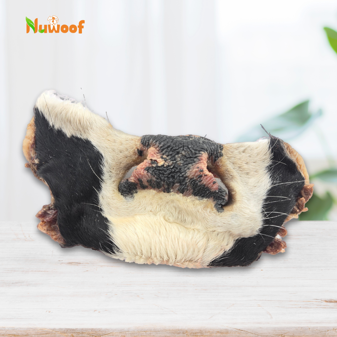 Ambassador Bundle - Willow’s Pick