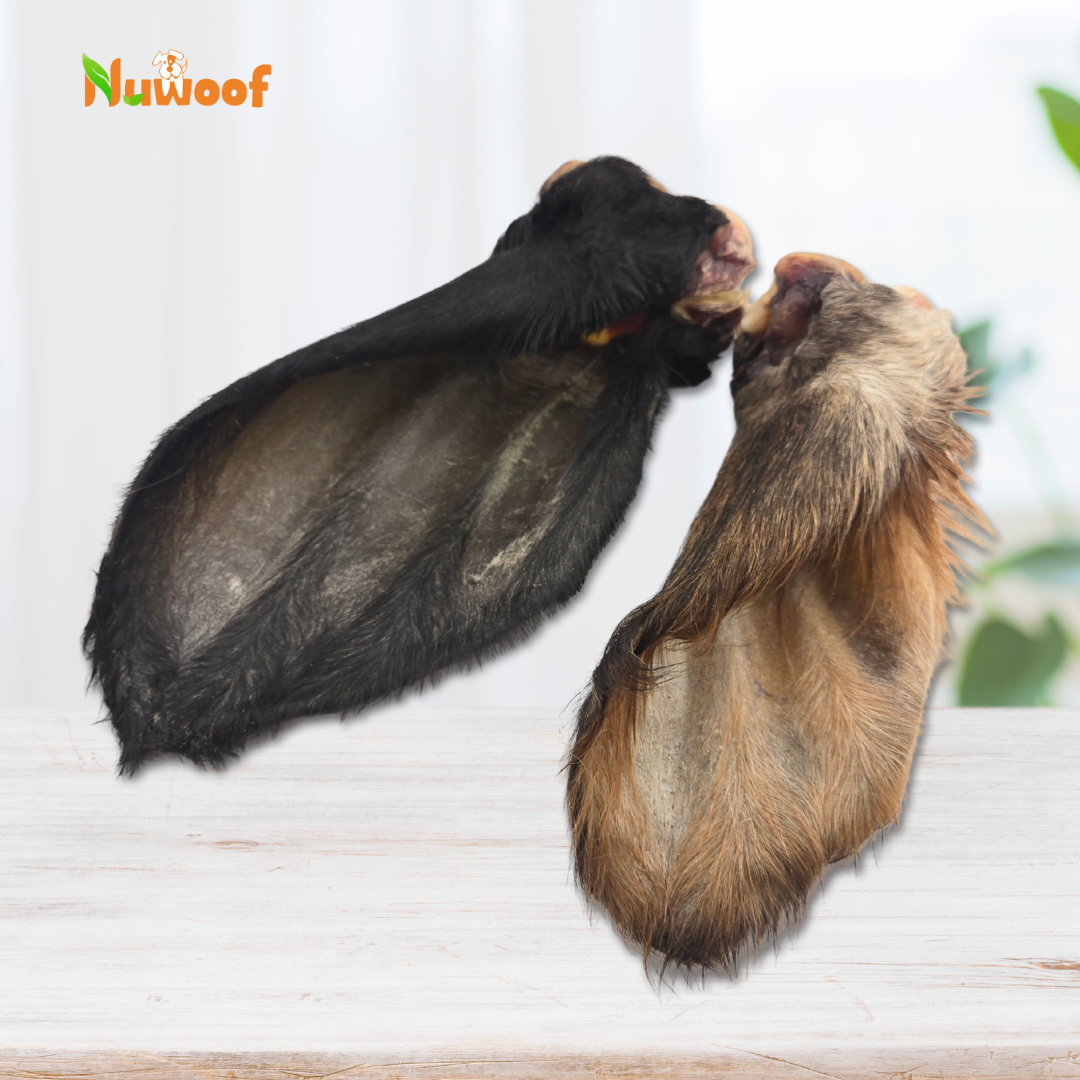 Ambassador Bundle - Bozo’s Pick