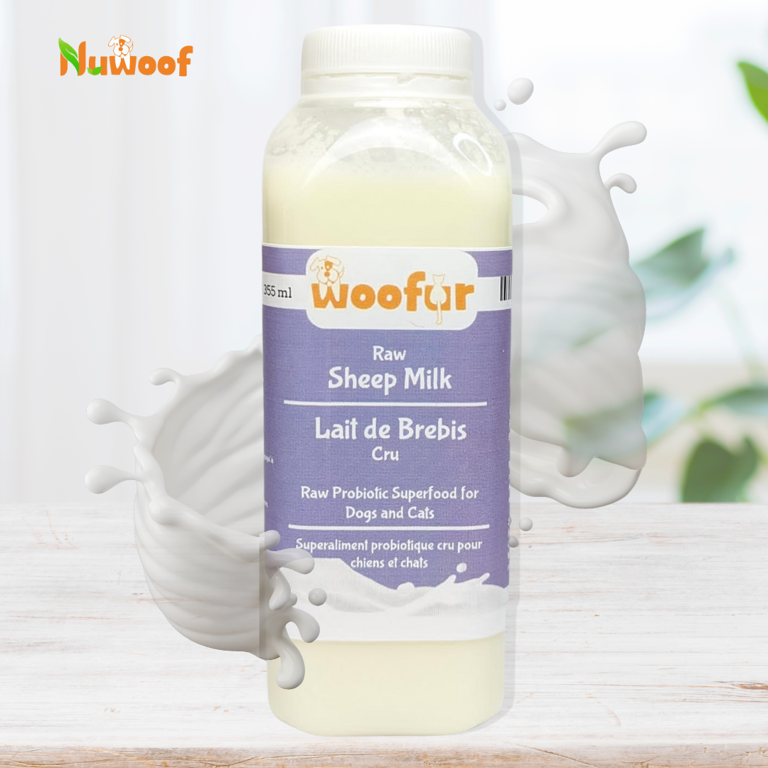 Ambassador Bundle - Daisy’s Pick