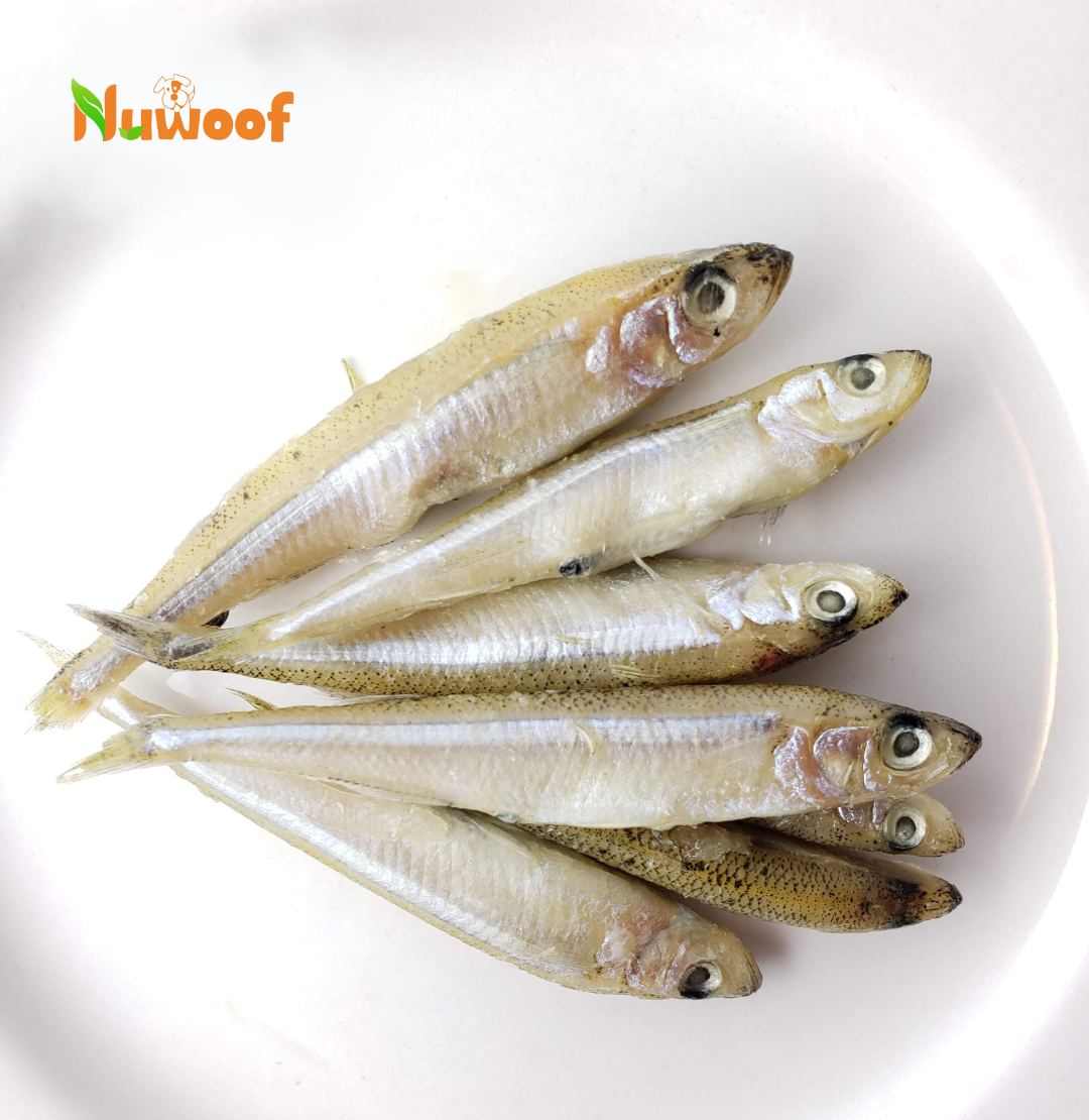 NuWoof - Frozen Lake Smelts - 227 g