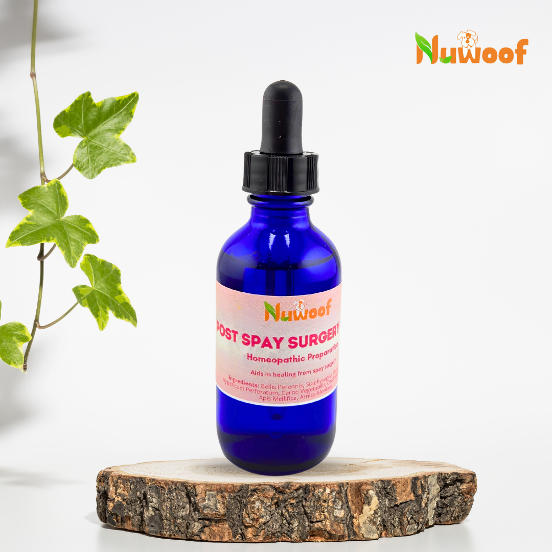 NuWoof Homeopathic Blend: Post Spay Surgery Care 50ml