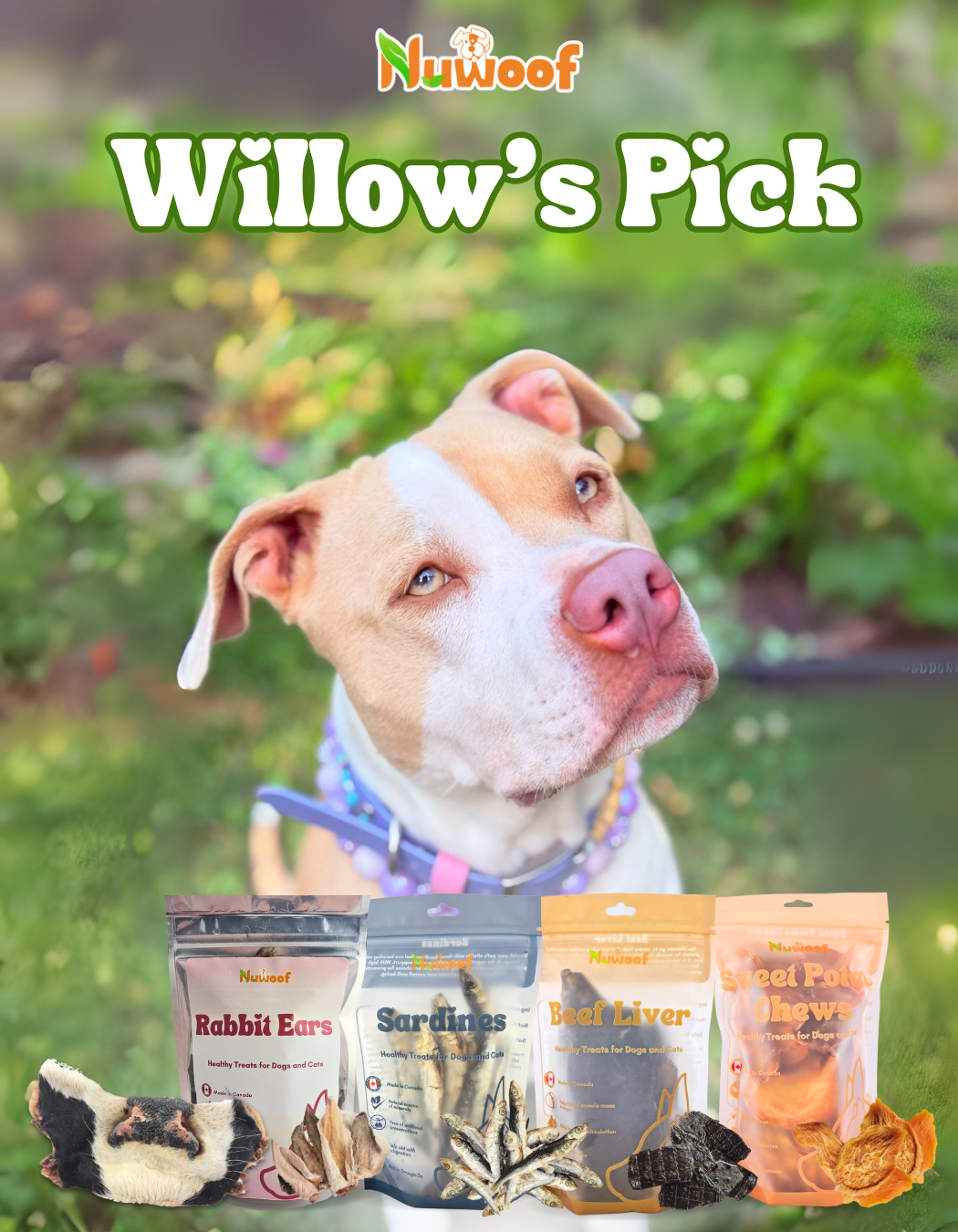 Ambassador Bundle - Willow’s Pick