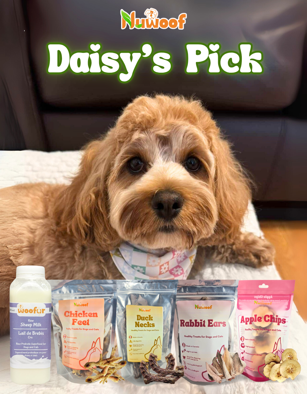 Ambassador Bundle - Daisy’s Pick