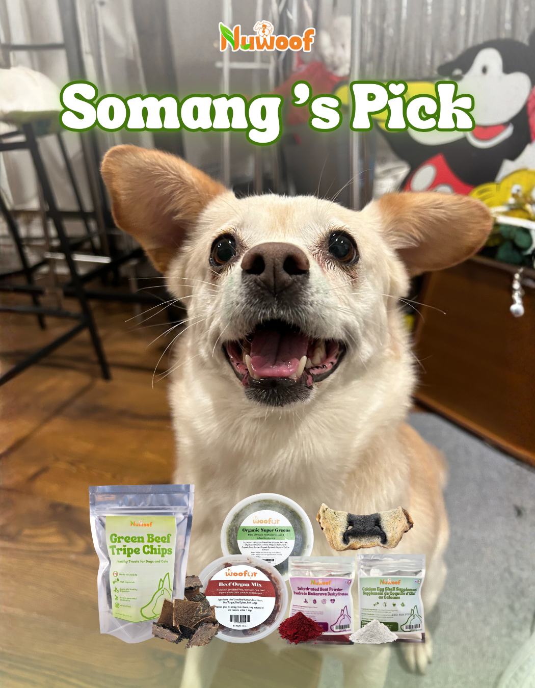 Ambassador Bundle - Somang's Pick