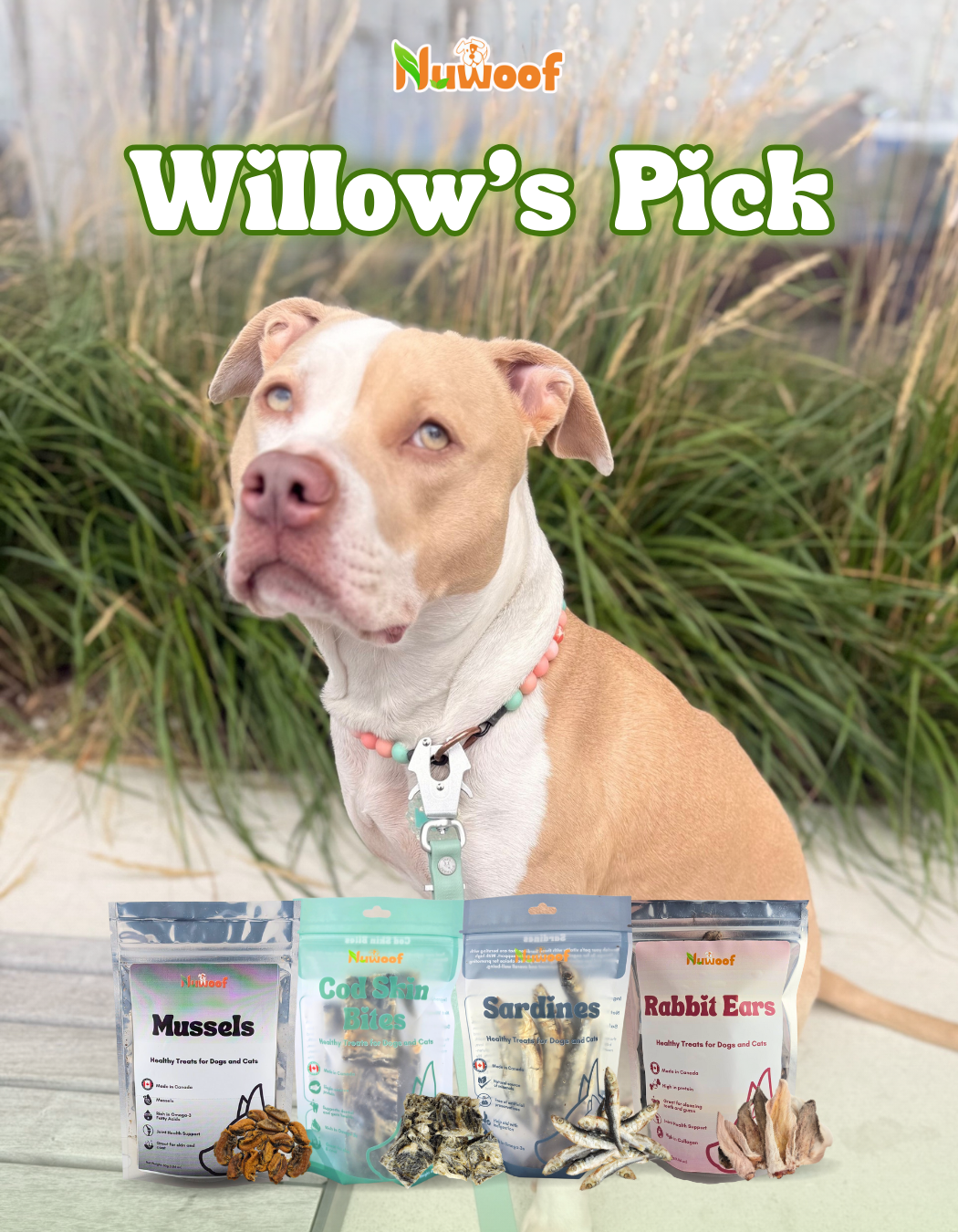 Ambassador Bundle - Willow's Pick