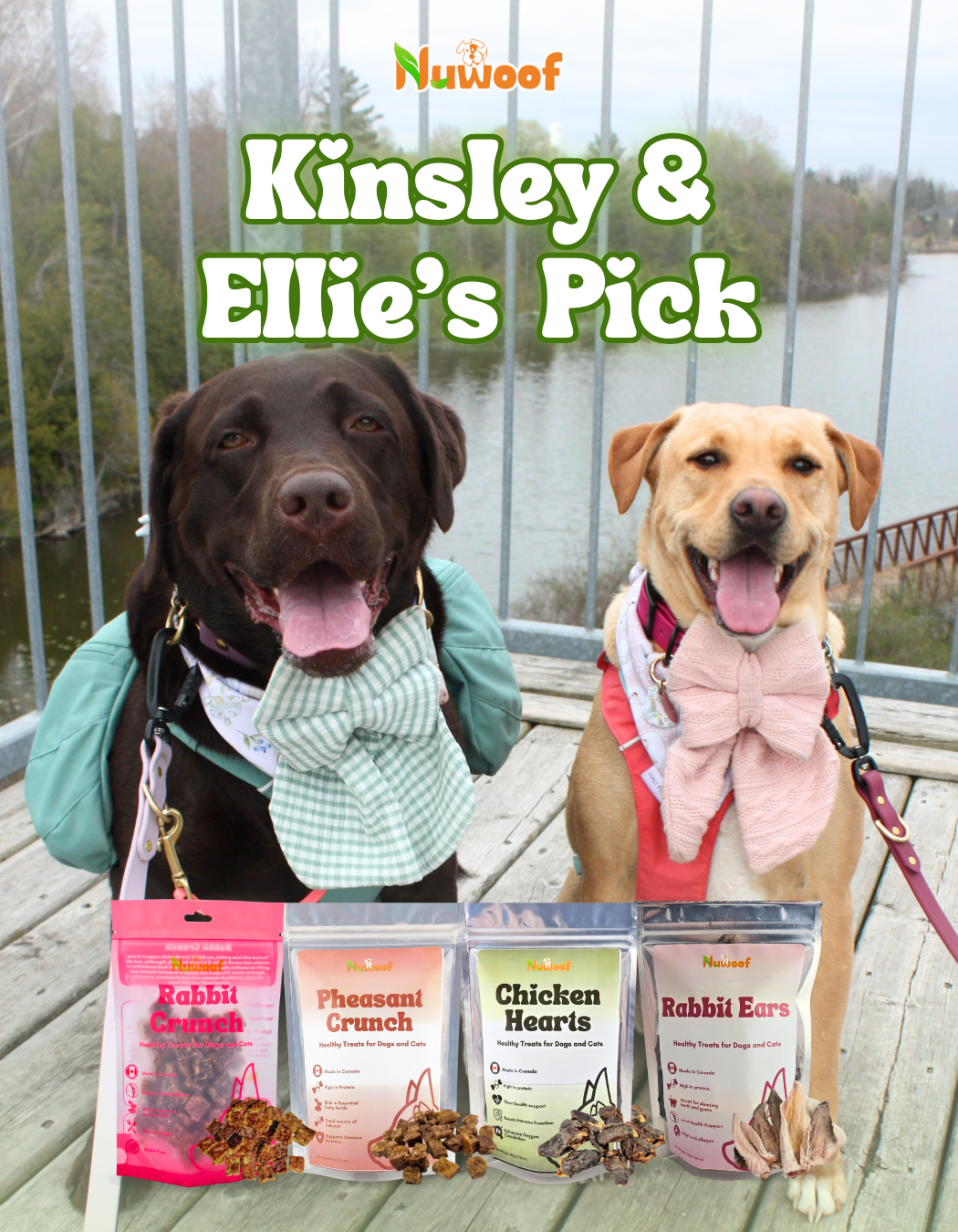 Ambassador Bundle - Kinsley & Ellie's Pick