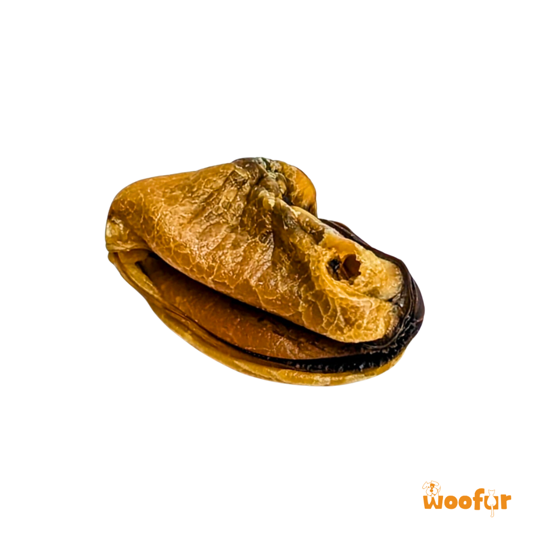 NuWoof - Mussels - 30g