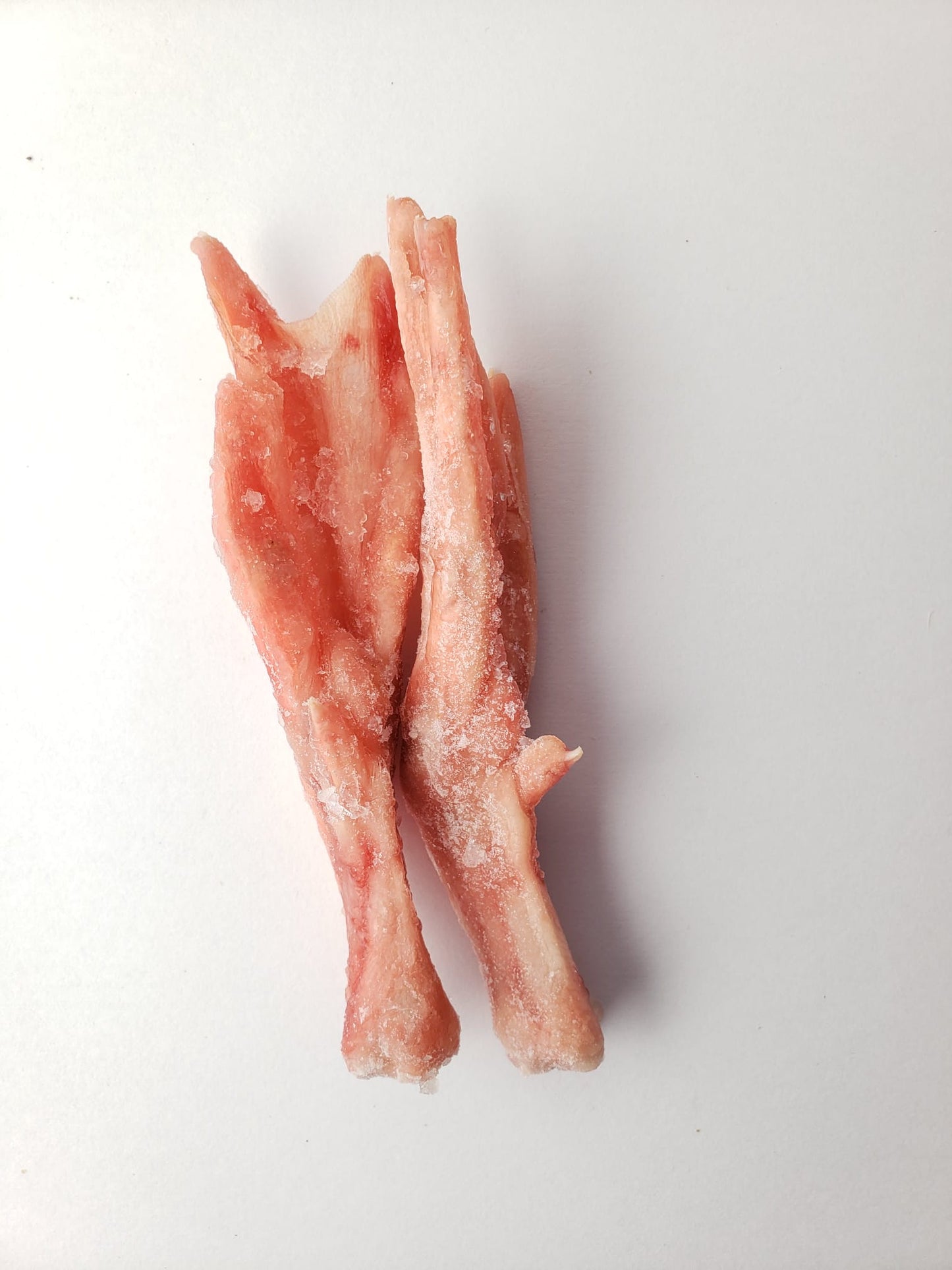 NuWoof - Frozen Duck Feet Chews - 2 lbs