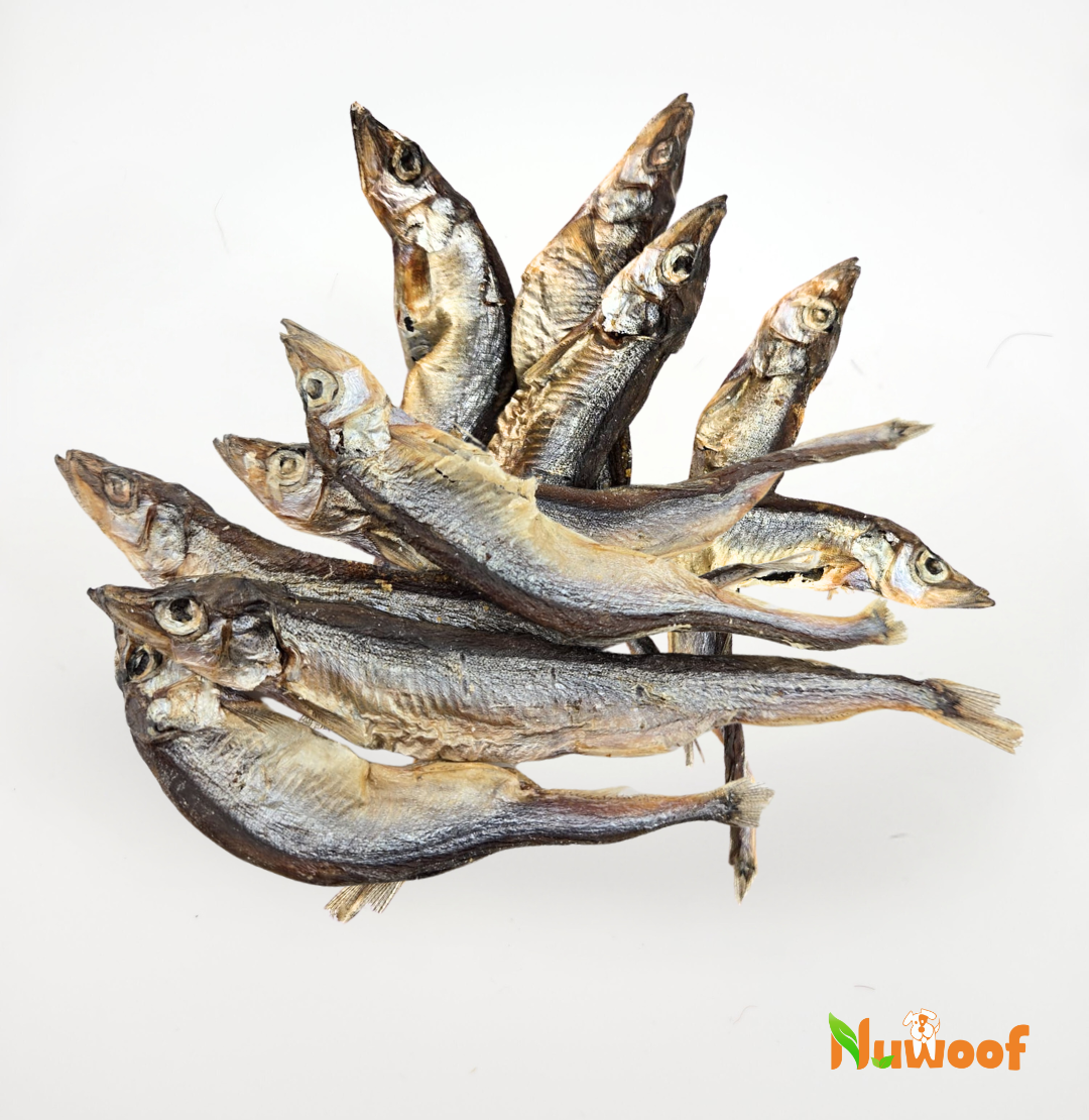 NuWoof - Capelins 65g