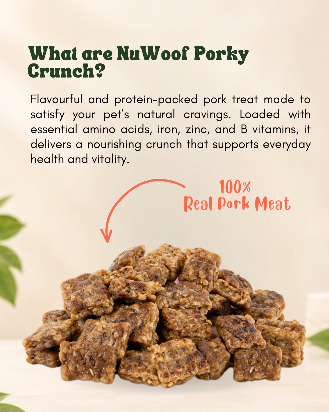 NuWoof - Porky Crunch Treats - 70g