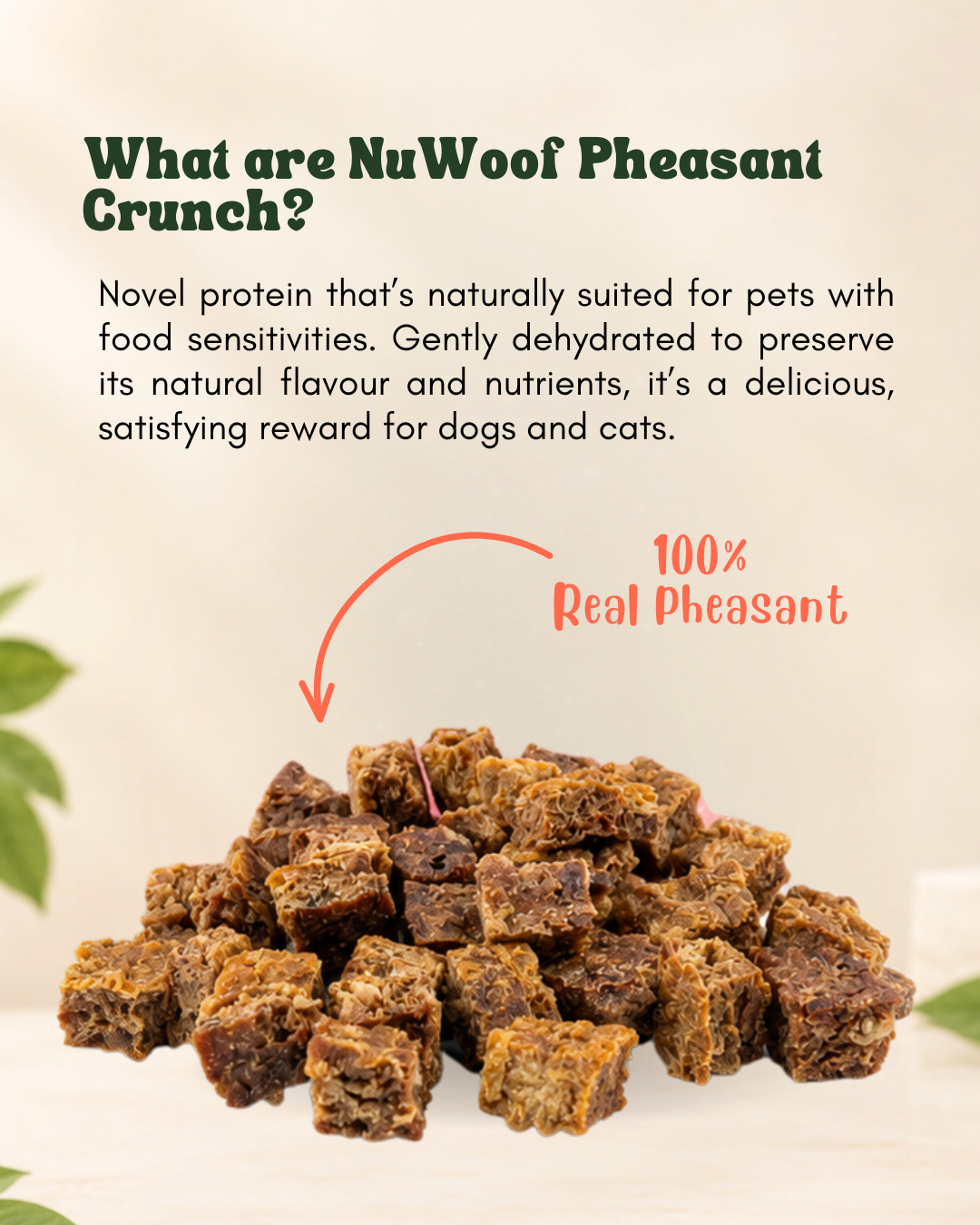 NuWoof - Pheasant Crunch Treats - 60g
