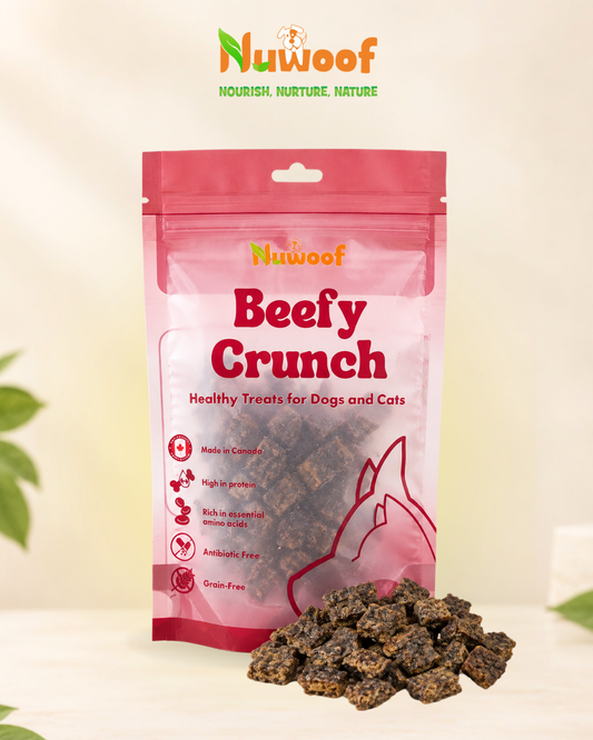 NuWoof - Beefy Crunch Treats - 70g