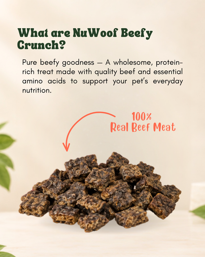 NuWoof - Beefy Crunch Treats - 70g