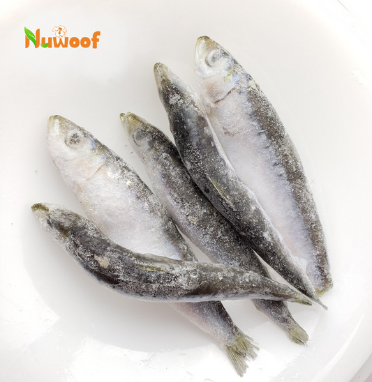 NuWoof - Frozen Sardines 1lb