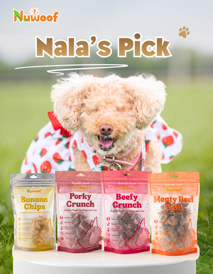 Ambassador Bundle - Nala's Pick