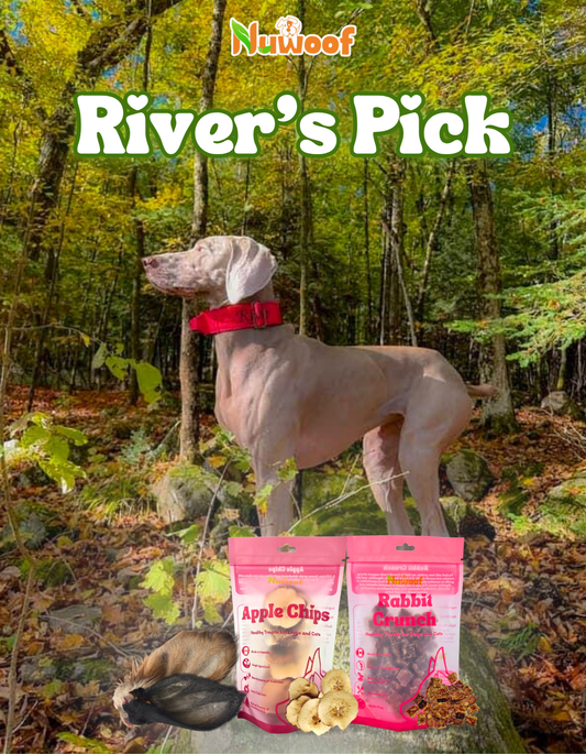 Ambassador Bundle - Pesto’s Pick