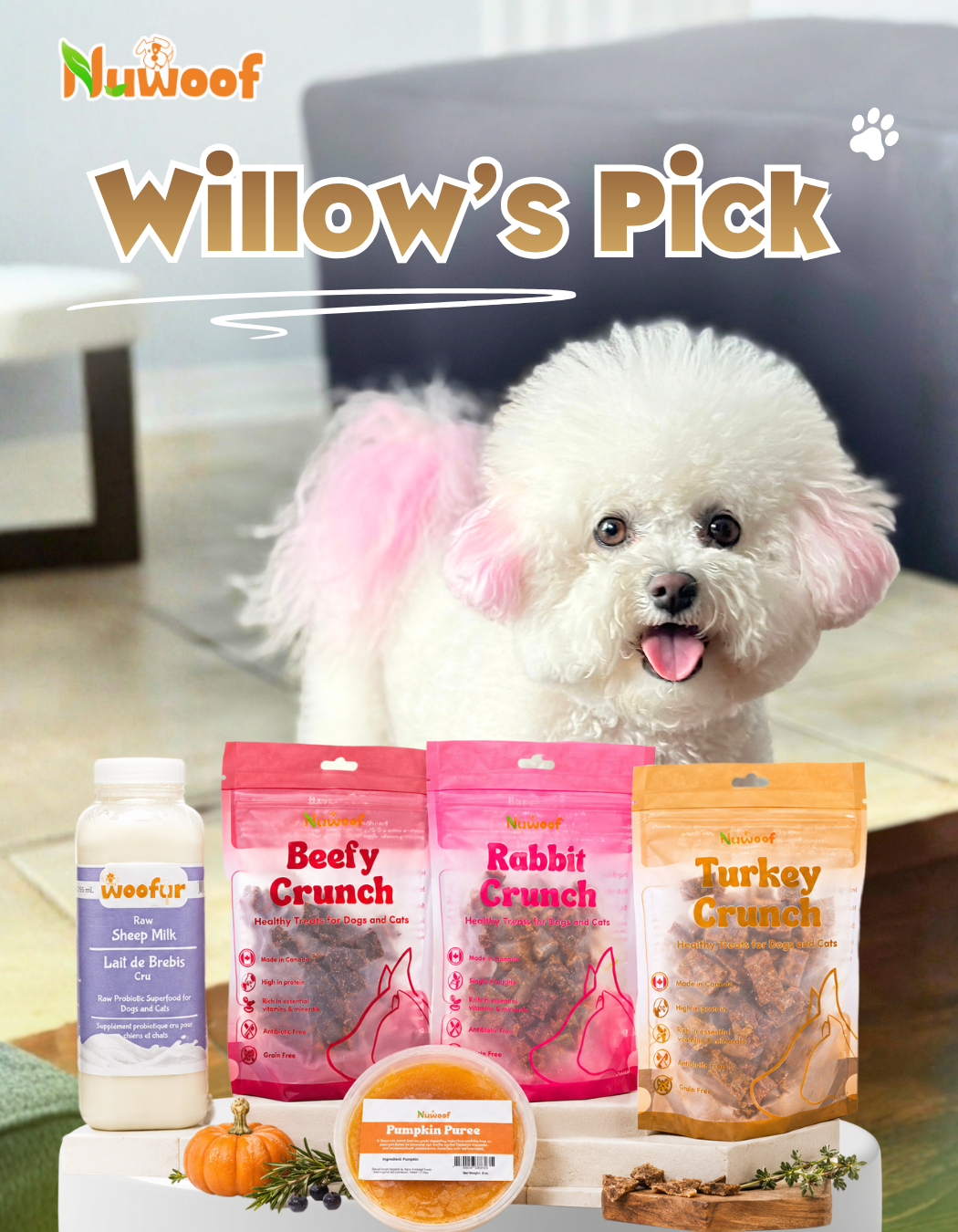 Ambassador Bundle - Willow's Pick
