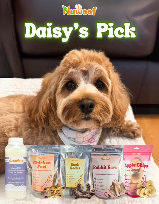 Ambassador Bundle - Daisy’s Pick