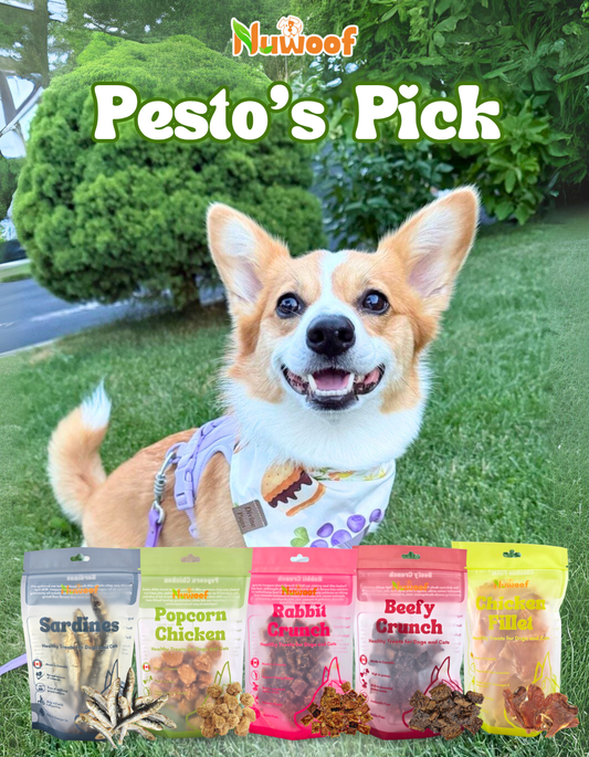 Ambassador Bundle - Pesto’s Pick