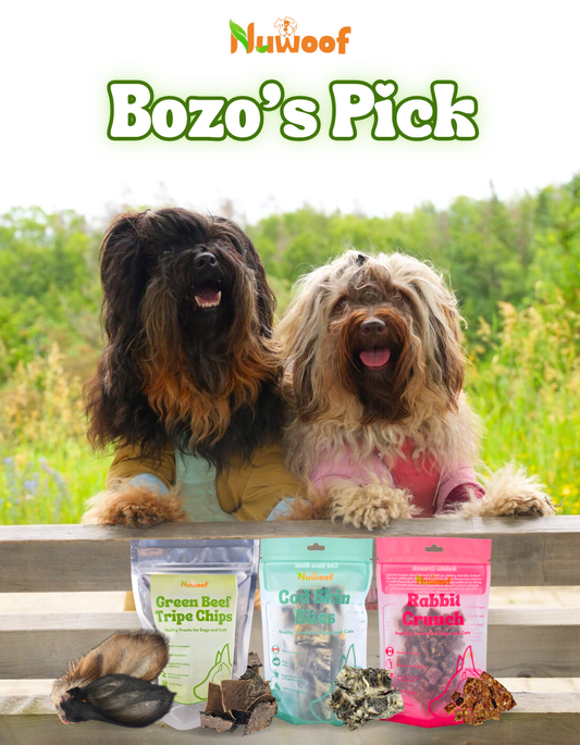 Ambassador Bundle - Bozo’s Pick
