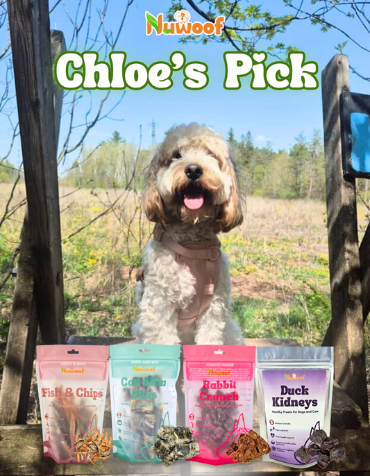 Ambassador Bundle - Chloe’s Pick