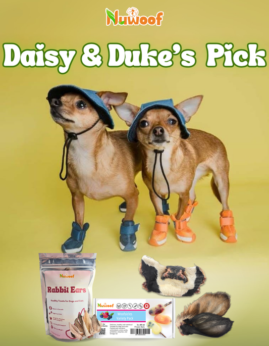 Ambassador Bundle - Daisy & Duke’s Pick