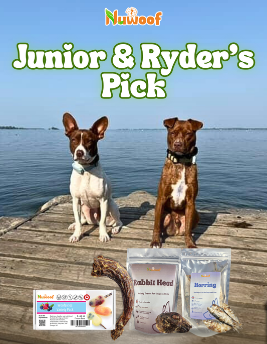 Ambassador Bundle - Junior &  Ryder’s Pick