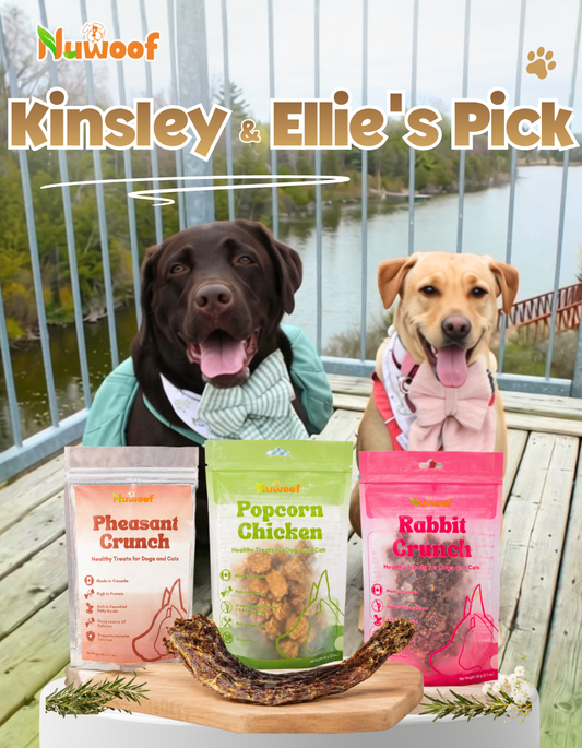 Ambassador Bundle -  Kinsley & Ellie's Pick