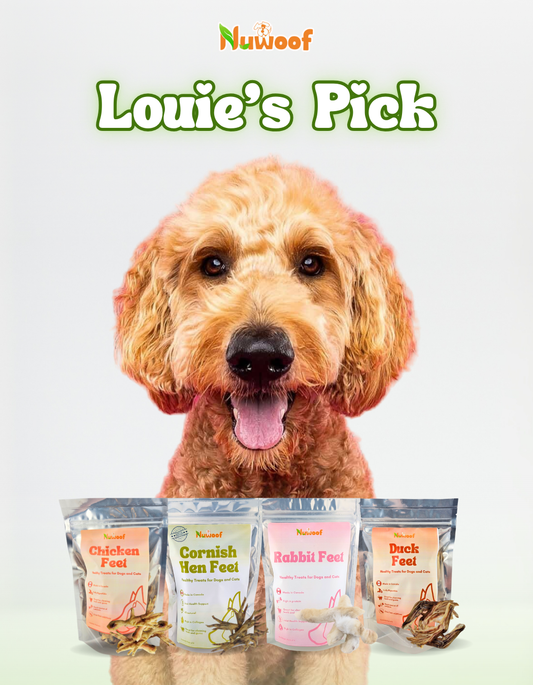 Ambassador Bundle - Louie's Pick