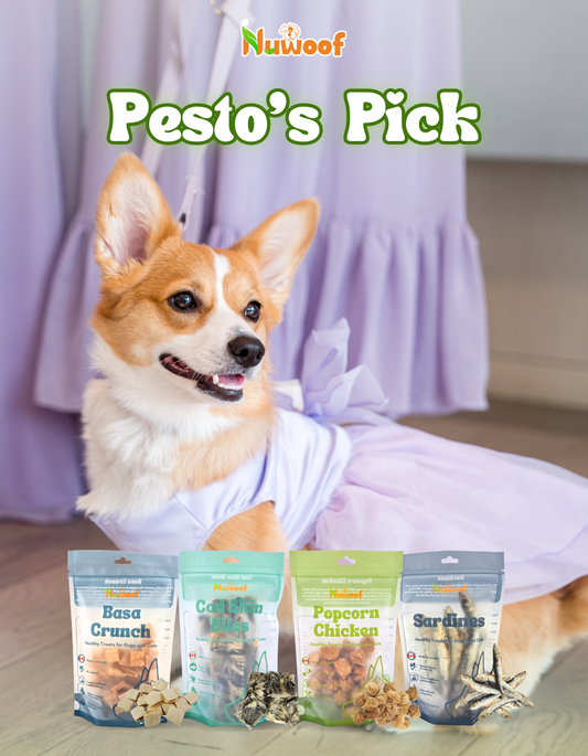 Ambassador Bundle -  Pesto's Pick