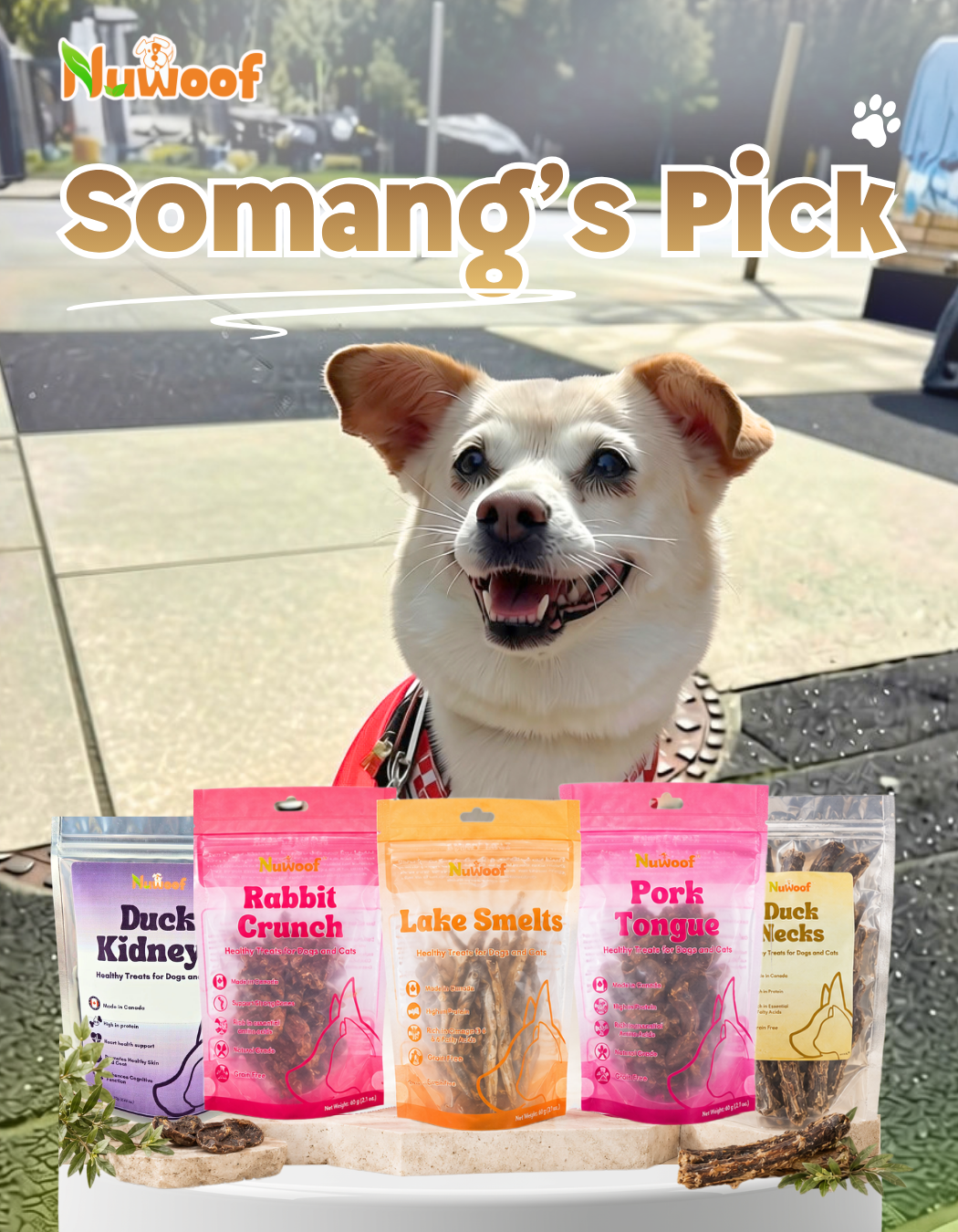 Ambassador Bundle - Somang's Pick