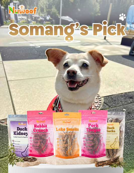 Ambassador Bundle - Somang's Pick