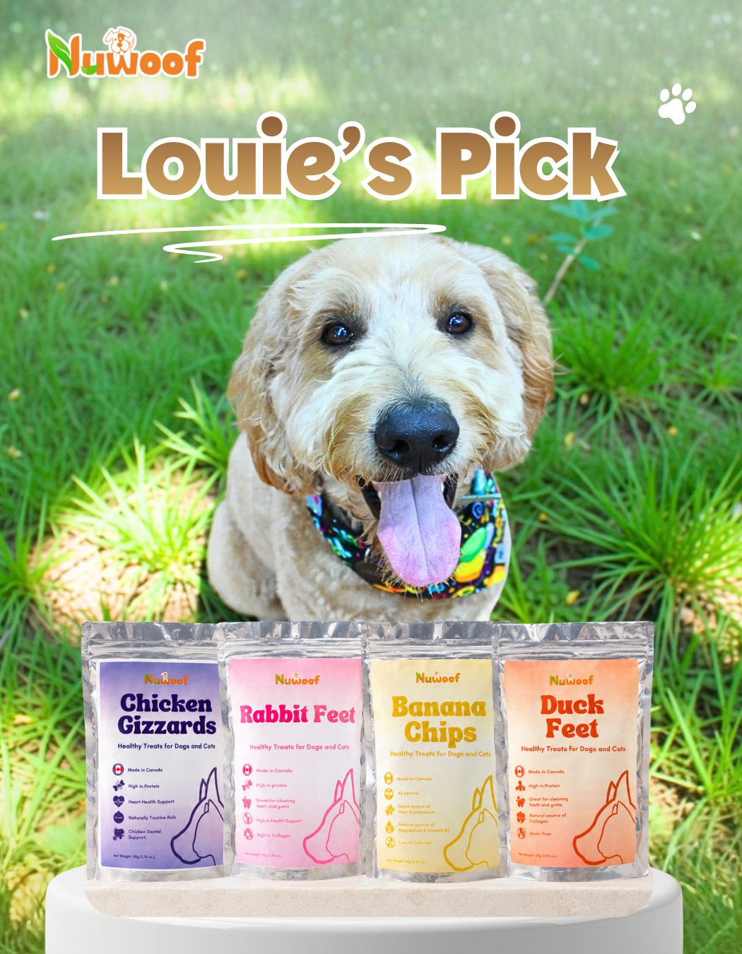 Ambassador Bundle - Louie's Pick