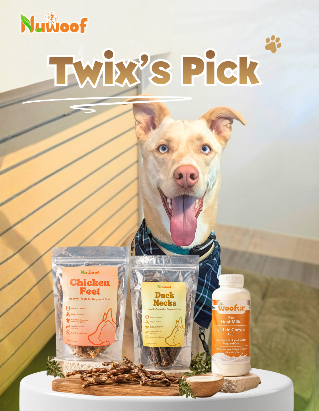 Ambassador Bundle - Twix’s Pick
