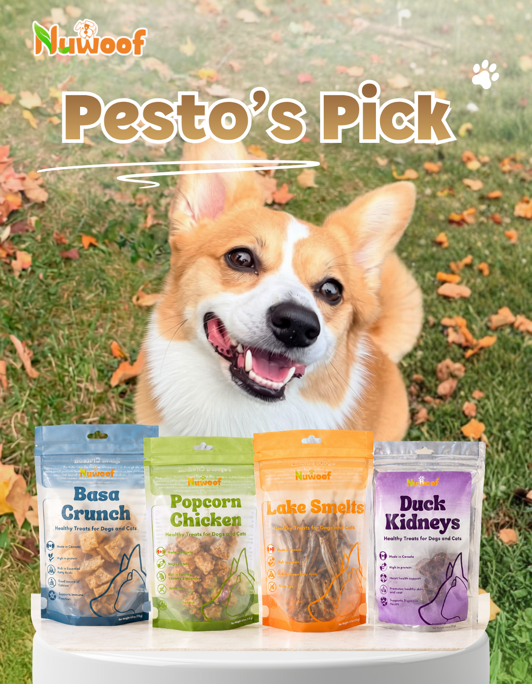 Ambassador Bundle -  Pesto's Pick