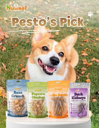 Ambassador Bundle -  Pesto's Pick