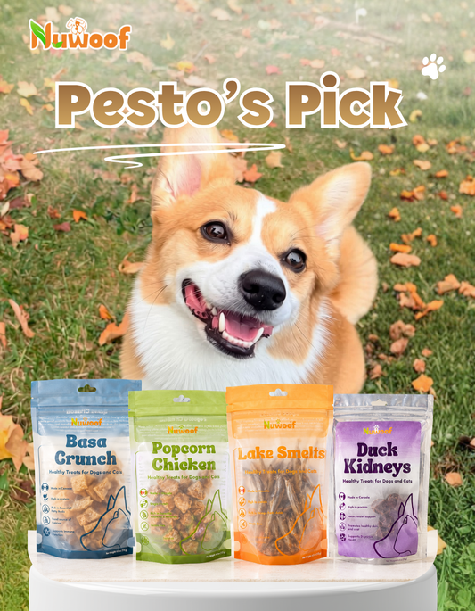 Ambassador Bundle -  Pesto's Pick