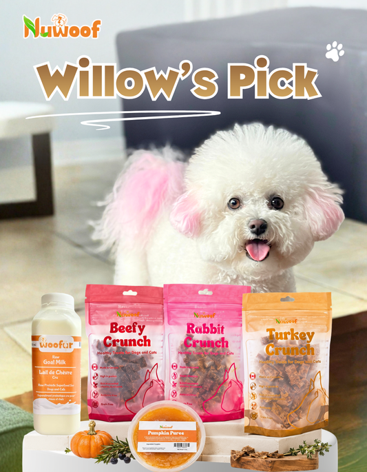 Ambassador Bundle - Willow's Pick