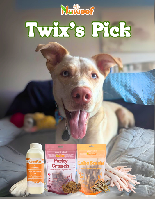 Ambassador Bundle - Twix’s Pick