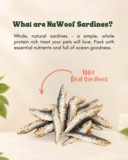 NuWoof - Sardine Treats 65g