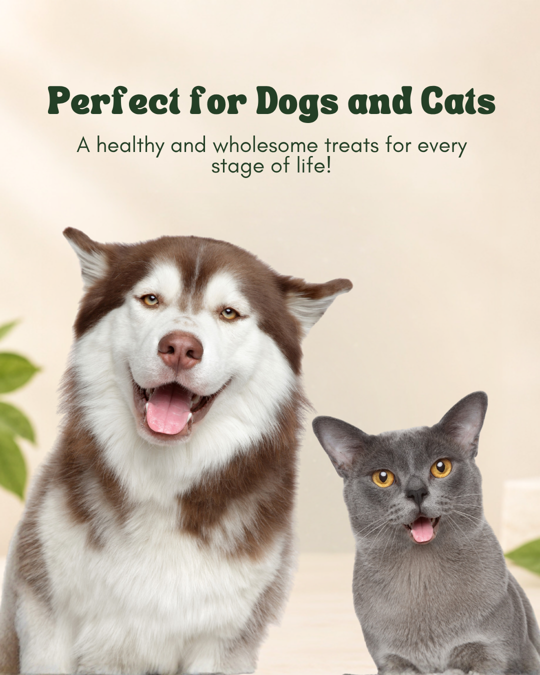 NuWoof - Sardine Treats 65g