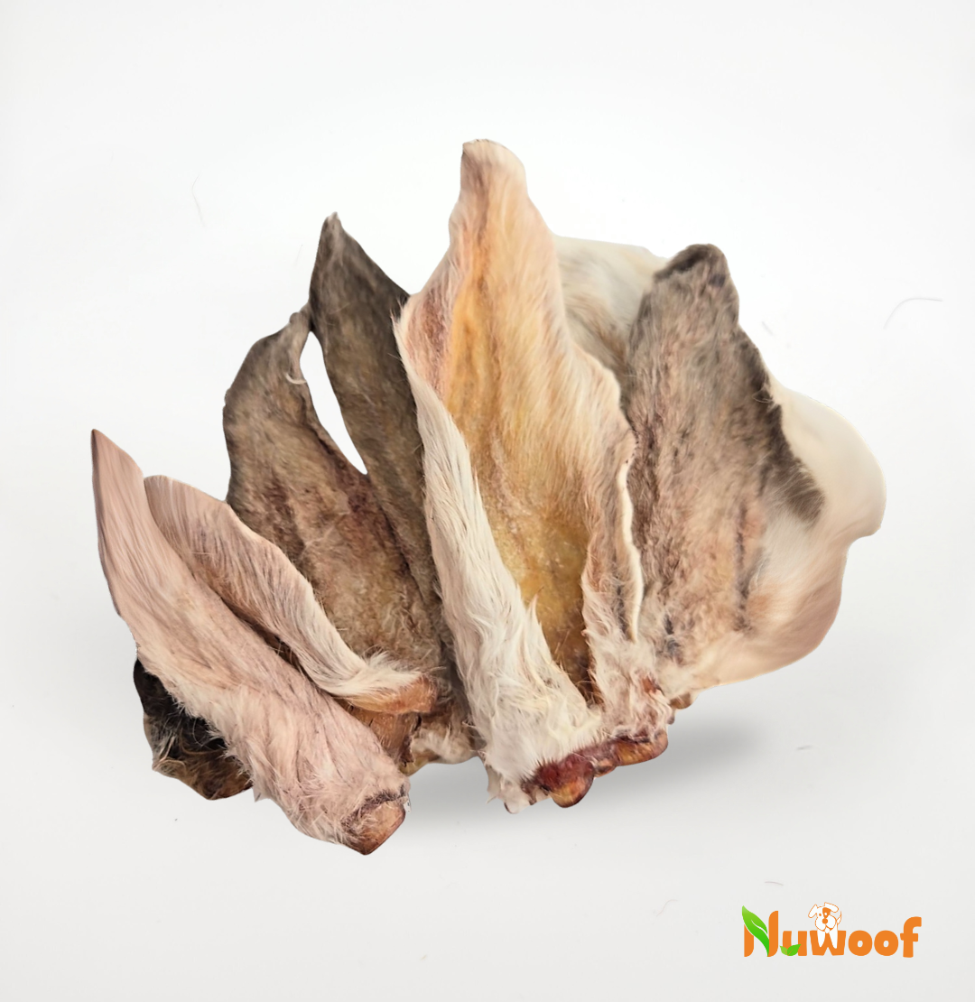 NuWoof - Rabbit Ears